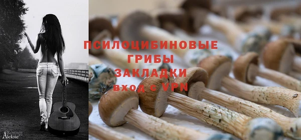 стаф Зеленодольск