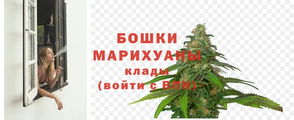 стаф Зеленодольск
