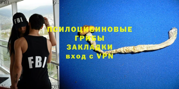 стаф Зеленодольск